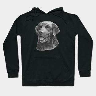 Labrador retriever - bw Hoodie